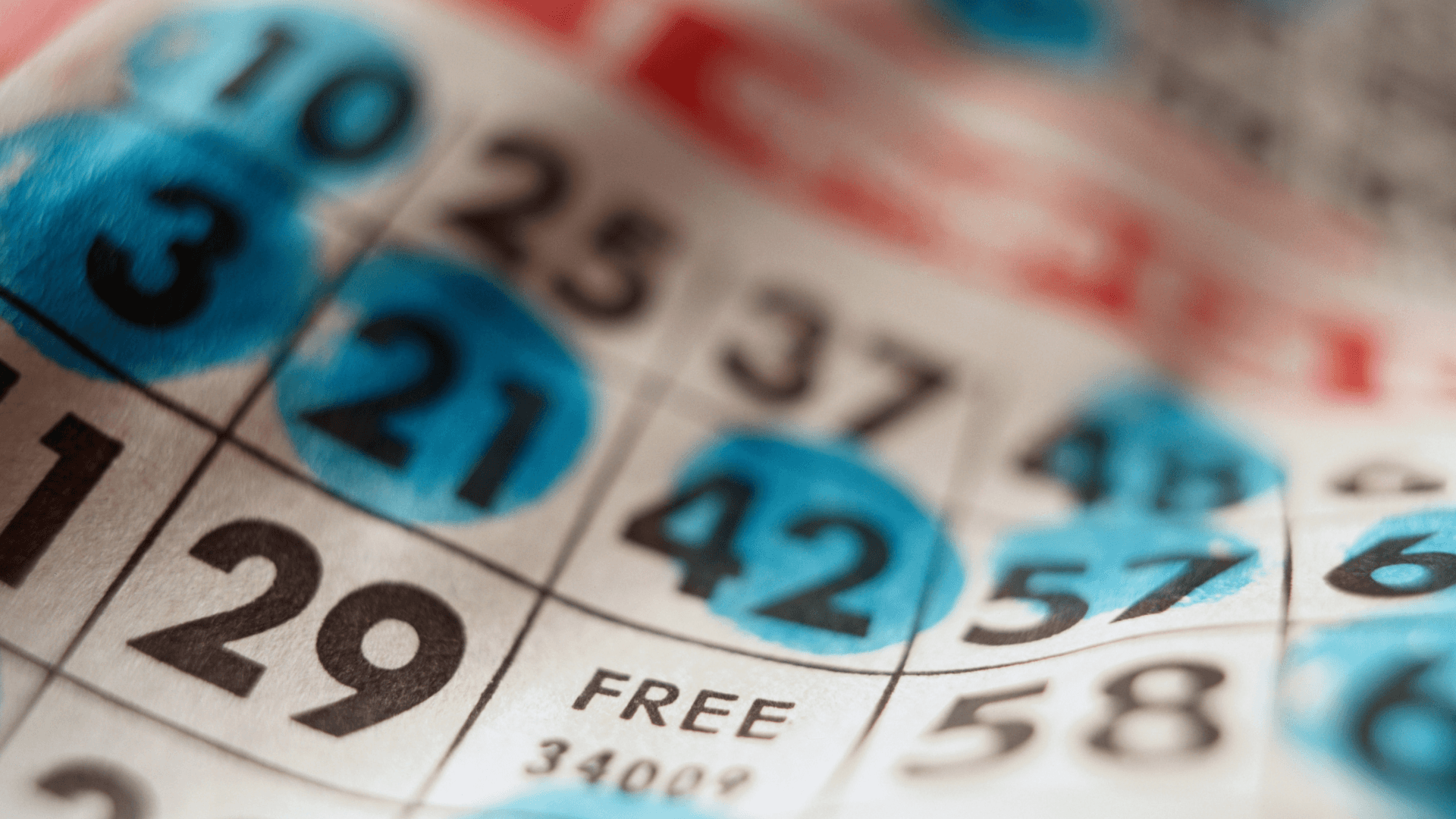 অনলাইন বিঙ্গো কার্ড এবং কল সম্পর্কে সবকিছু image